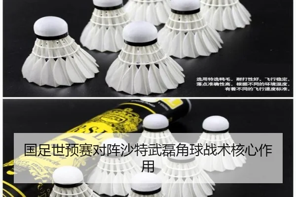 国足世预赛对阵沙特武磊角球战术核心作用